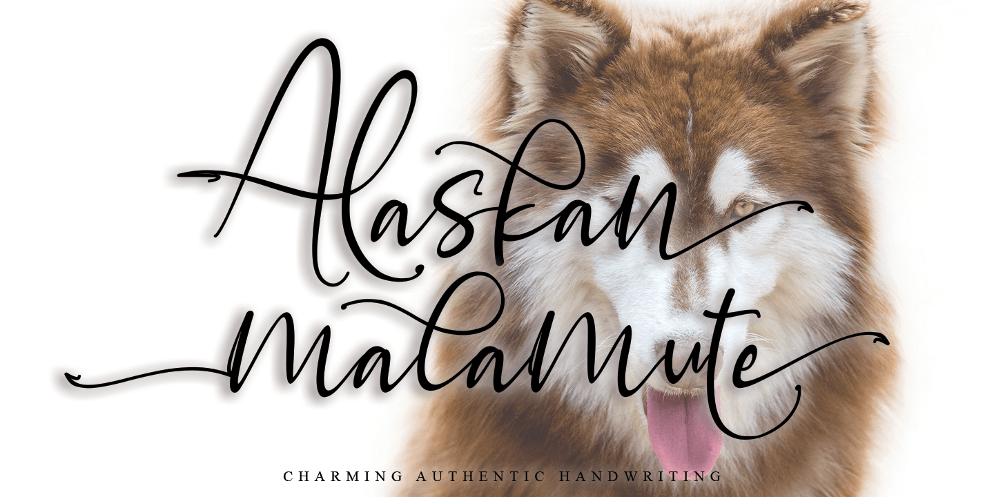 Beispiel einer Alaskan Malamute Regular-Schriftart